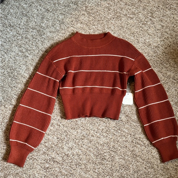 Altar'd State Sweaters - Altar'd State Brick Red Cropped Sweater with Cream Stripes
